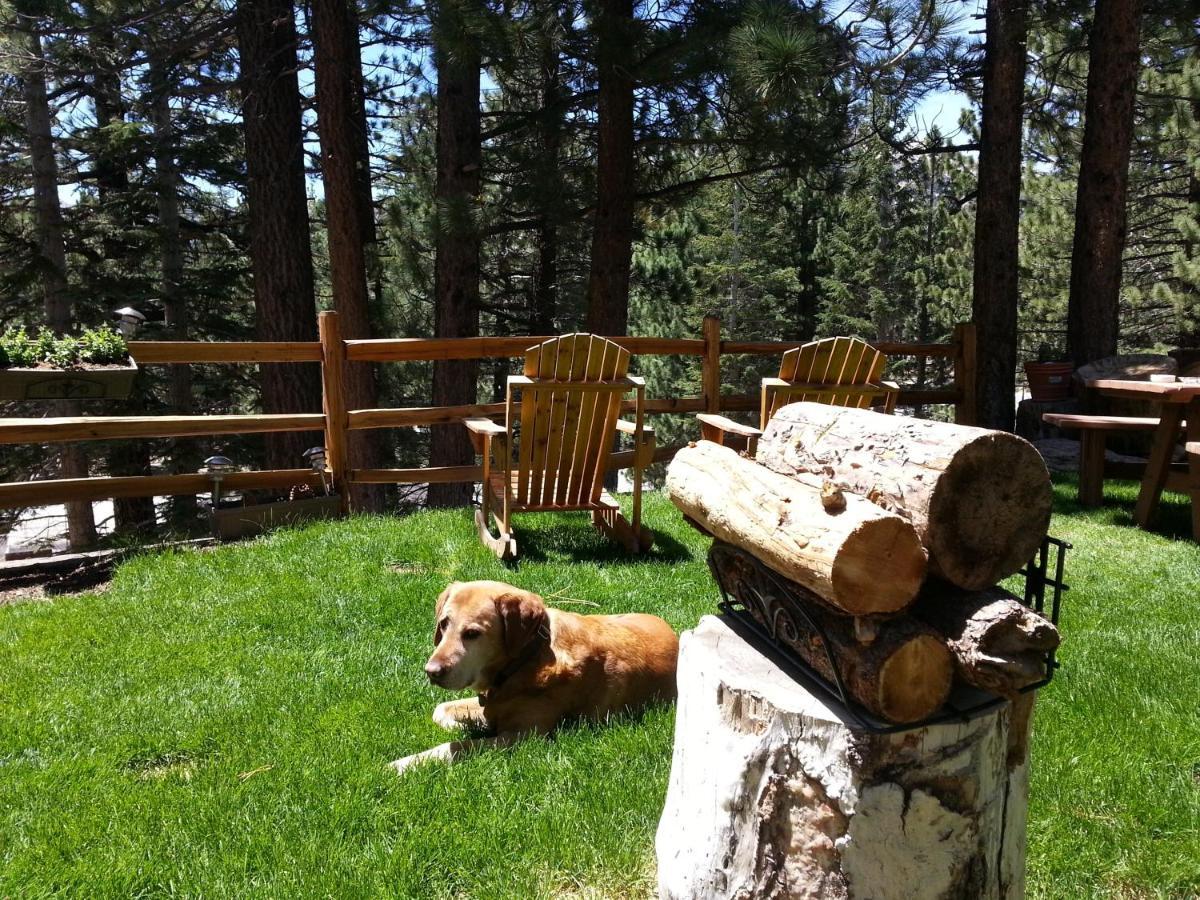 Innsbruck Lodge Mammoth Lakes Exterior foto